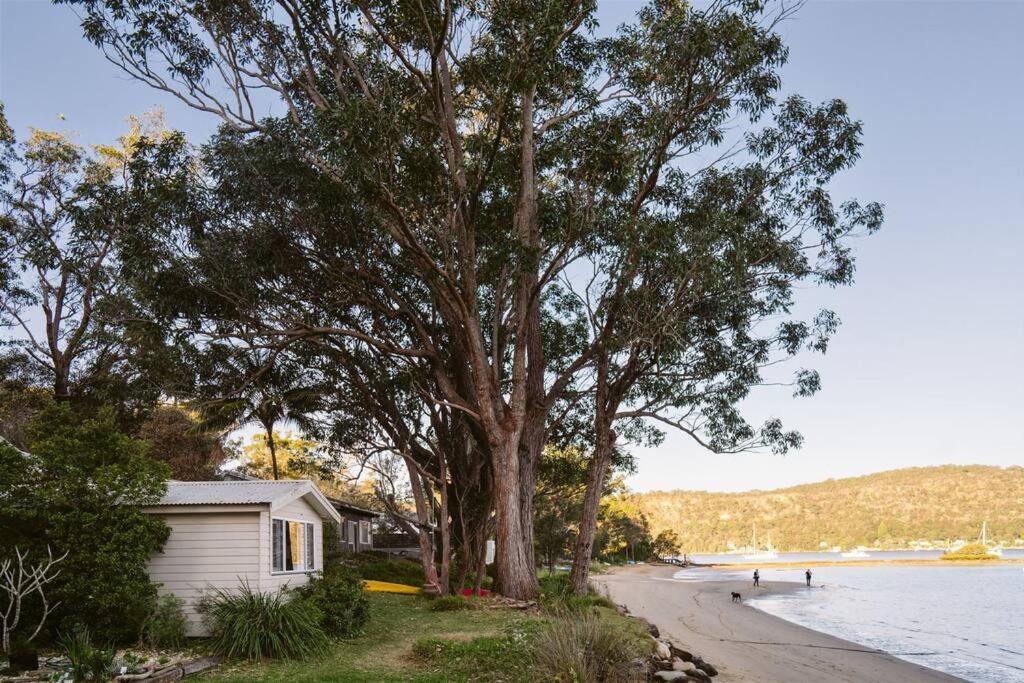 Dangar Beach Studio - Absolute Beach Front Villa Dangar Island Eksteriør billede